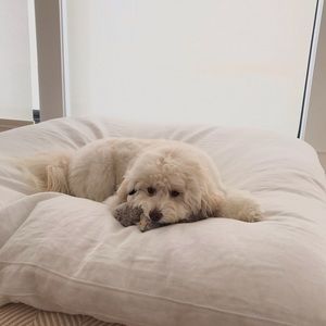 Meet your Posher, Tonya